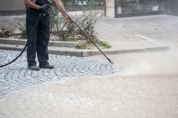 Best Pre-Holiday Cleaning  in Avenue B And C, AZ
